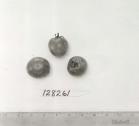 Click for 1 image(s) for this accession. FRUIT